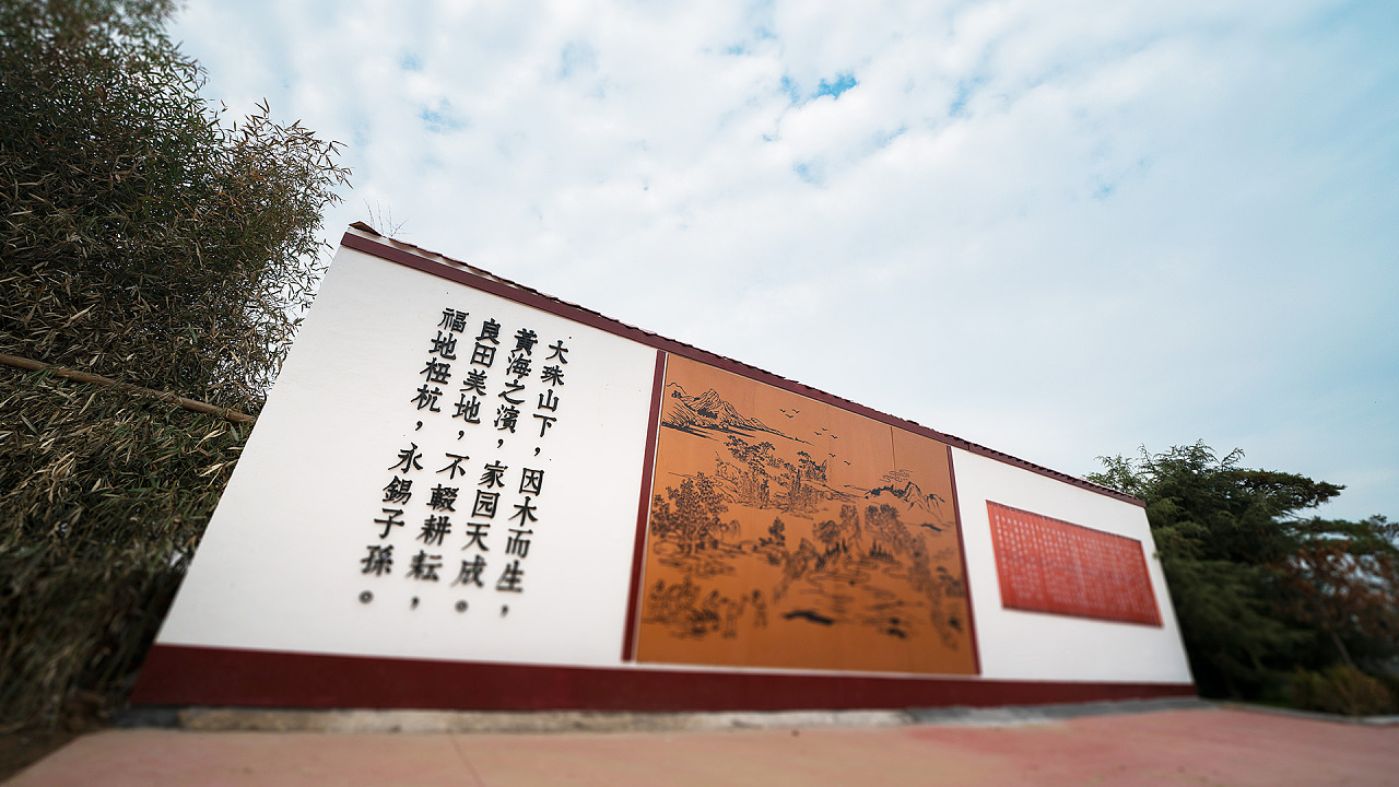 特色文化墙扮靓美丽乡村之罗村镇文化墙展示